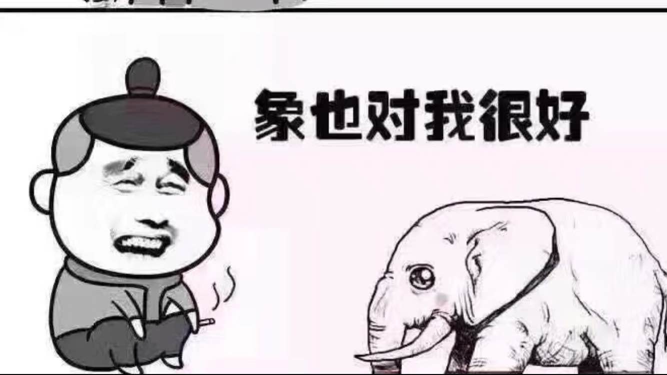 185595475426238612